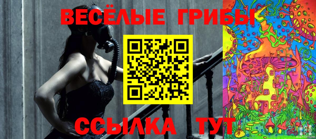 Галлюциногенные грибы Psilocybe Коряжма