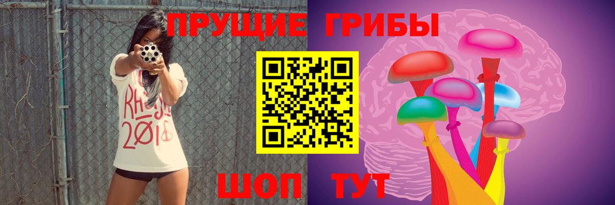 Коряжма  Псилоцибиновые грибы мухоморы  Вход с VPN 